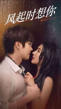 风起时想你