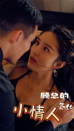 顾总的签约小情人