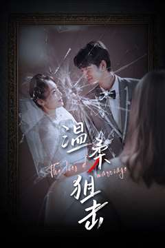 温柔狙击（婚姻迷雾）（婚姻的谎言）