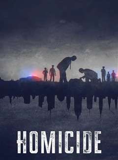 凶杀重案实录 纽约 第二季