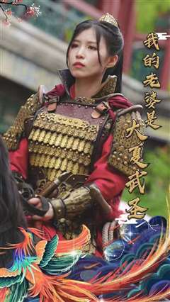 我的老婆是大夏武圣