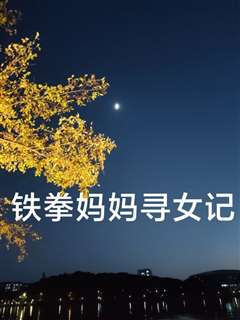 铁拳妈妈寻女记