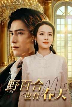 野百合也有春天