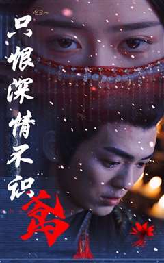 只恨深情不识鸢