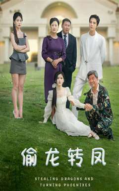 偷龙转凤