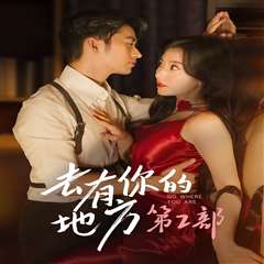 去有你的地方第2部