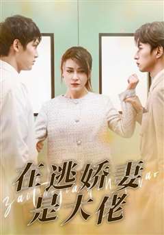 在逃娇妻是大佬