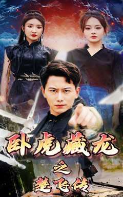 卧虎藏龙之楚飞传