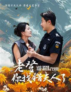 老登你找错夫人了