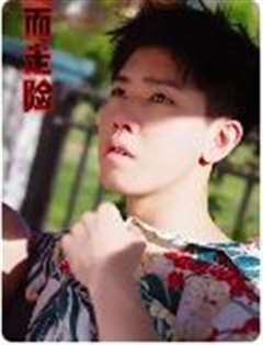 铤而走险（步步高升）（幸福人生）