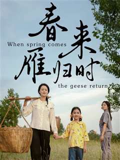 春来雁归时