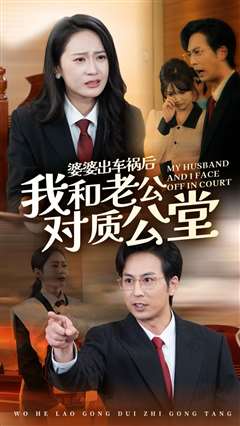 婆婆出车祸后我和老公对质公堂