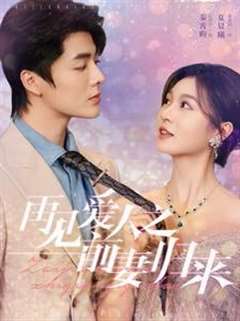 再见爱人之前妻归来