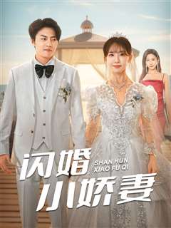 闪婚小娇妻