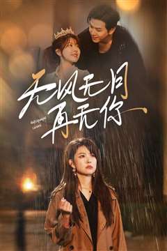 无风无月再无你