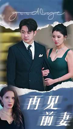 再见前妻