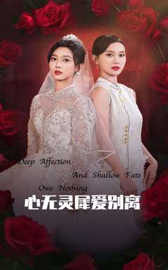 心无灵犀爱别离