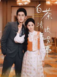 白茶清欢无别事