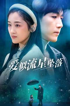爱似流星坠落