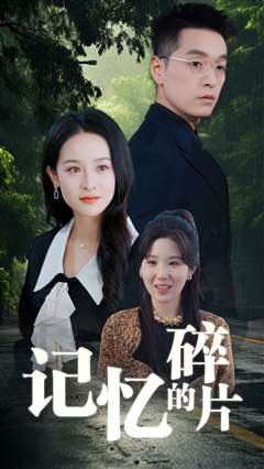 记忆的碎片