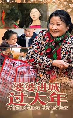 婆婆进城过大年