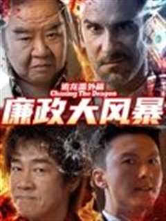 追龙番外篇之廉政大风暴