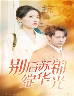 别后苏锦绽华光