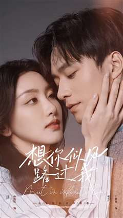 想你似风路过我