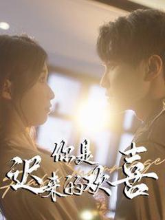 你是迟来的欢喜2025