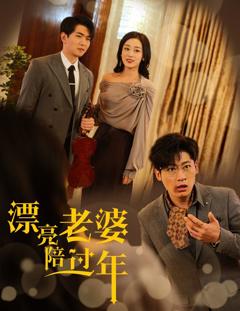 漂亮老婆陪过年-蛇年大吉之爱情事业双丰收