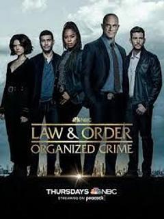 多伦多法律与秩序：犯罪倾向 第二季