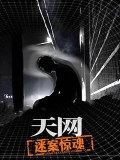 天网：迷案惊魂