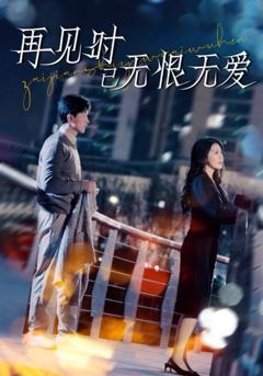 再见时已无恨无爱