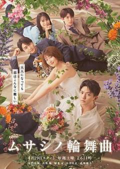 武藏家的圆舞曲