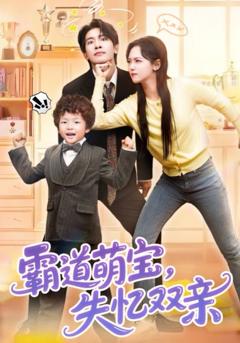 霸道萌宝失忆双亲