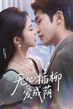 无心插柳爱成荫