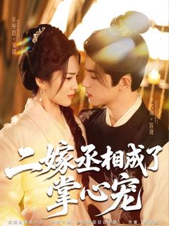 二嫁丞相成了掌心宠