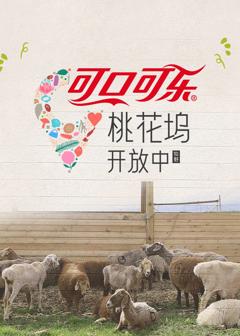 桃花坞开放中第四季