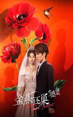 金燕还巢当感恩