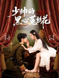 少帅的黑心菟丝花