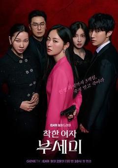 免费在线观看完整版日韩剧《善良的女人夫世美》