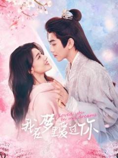 我在梦里爱过你