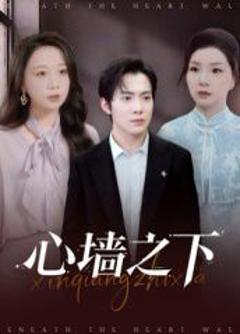 心墙之下