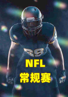 NFL常规赛-猛虎vs泰坦-20221128