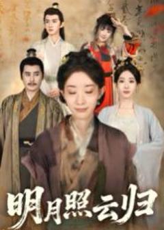 明月照云归