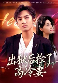 免费在线观看完整版短剧《出狱后捡了高冷妻》