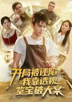 开局被诬陷，我靠透视鉴宝破大案