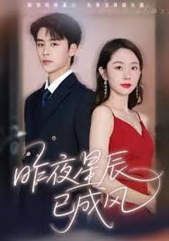免费在线观看完整版短剧《昨夜星辰已成风》