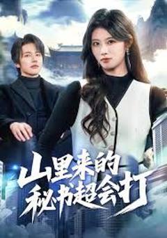 免费在线观看完整版短剧《山里来的秘书超会打》