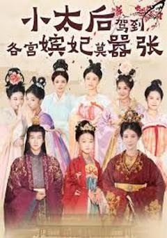 免费在线观看完整版短剧《小太后驾到，各宫嫔妃莫嚣张》